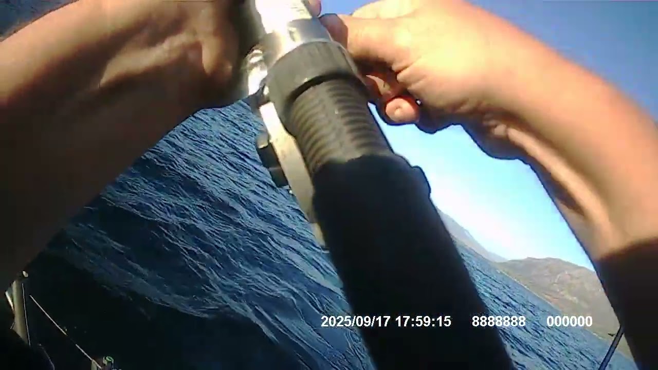 Little Shuswap Salmon