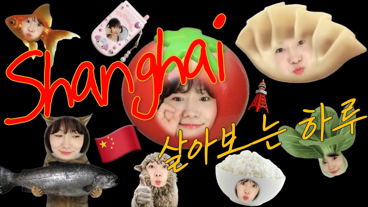 상하이에서 이틀, 여행이 아닌 ‘삶’을 보내다🇨🇳