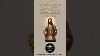 EL MANTO DE LA IGNOMINIA  El Triunfo del Amor sobre la Deshonra  1Pedro 2, 22 23