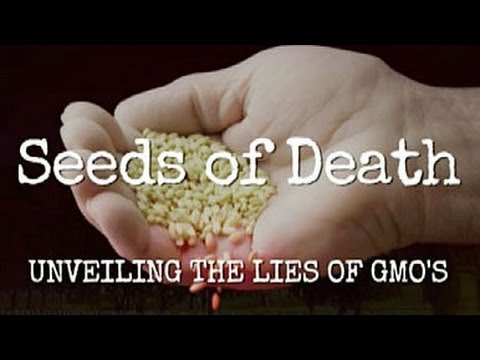 Seeds Of Death Controversy GMO Truth