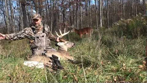 SELF FILM - BOW HUNT - DEER self video Urban bow buck kill over decoy - Bow buck Adventure