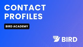Get to Know Contact Profiles