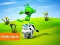 Quảng Cáo ZinZin MỚI HD 