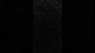 Yes.mp4.pdf