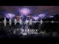 Marion  mind flowers  chillstep
