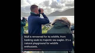 Discover Scotland's Hidden Island Gems: A Travel Guide