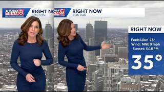 Cindy Fitzgibbon -