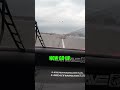 Squirrel zigged & avoided the wreck 😱