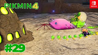 WATERS EDGE & LUMIKNOLLS  | Serene Shores Night Expedition | Pikmin 4 - Part 29