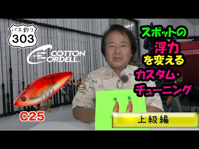 ヒロ内藤のハイパーバッシン 51rQv7tROsL._AC_UF350,