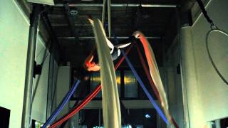 Nicole Niestemski: Aerial Reel