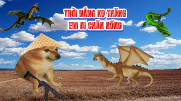 Nhạc chế Ding Ding TV: Trời nắng không trăng em đi chăn rồng