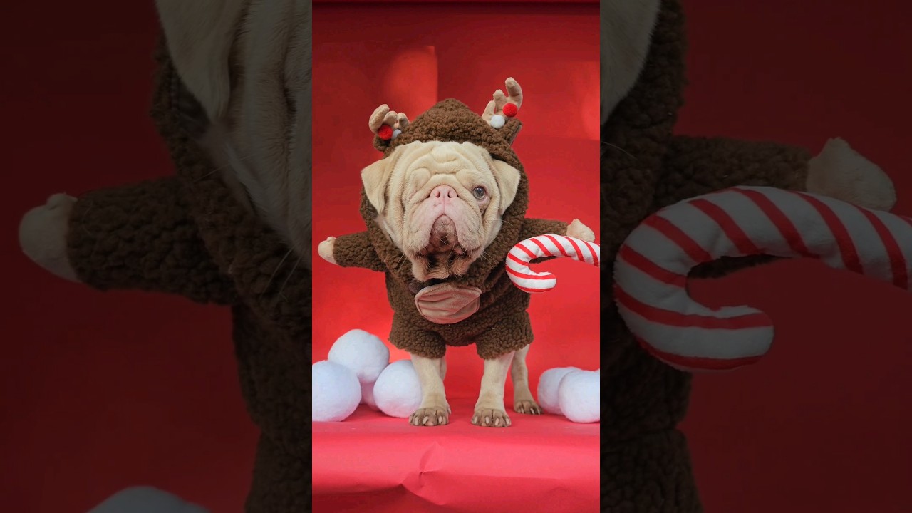 I was bullied on social media 😪😫 