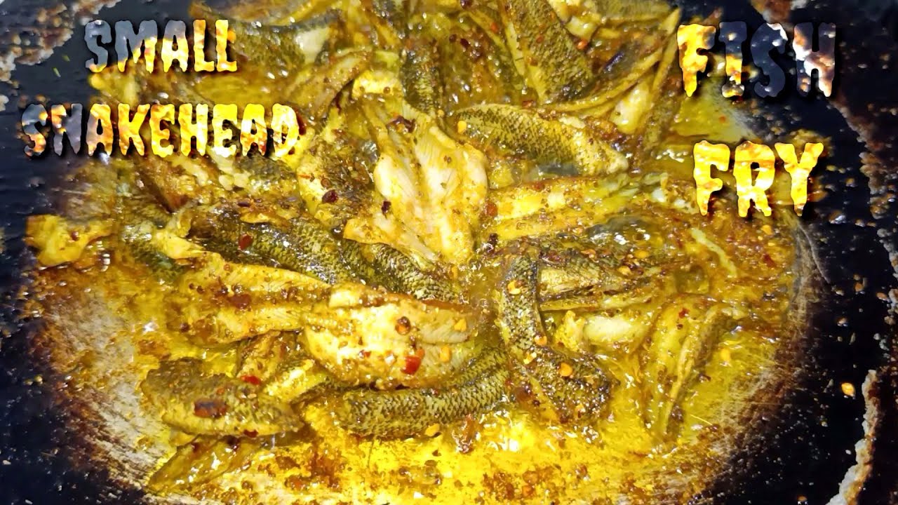 Delicious fish fry | snakehead fish fry | fish fry recipe | Mudassar ...