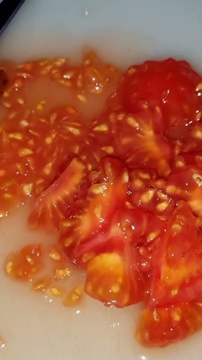 free Tomato Seeds How To Collect Free Tomato Seeds From Store Bought free-tomato-seeds-how-to-collect-free-tomato-seeds-from-store-bought