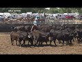 2026 South Dakota High School Rodeo Finals | Girls & Boys Cutting, Reined Cow Horse | 2026-06-17