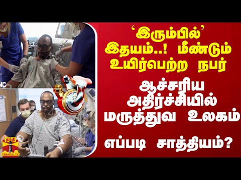 Kusanagi Motokoning jinsiy rasmlari Eng yaxshi rus xususiy xxx sahnalari