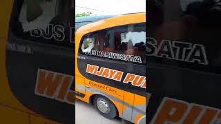 Bus Pariwisata wijaya putra #shorts #shortsvideo #shortsfund