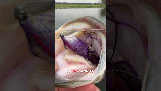 Have you fished the Pad Rambler? #bassfishing #snagproof