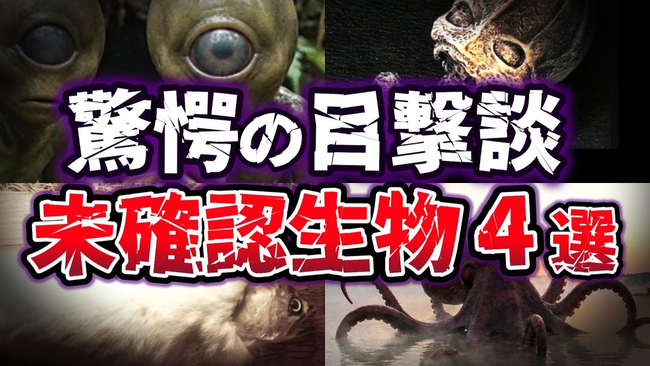 【ゆっくり解説】遭遇したら終わり！？…世界を震撼させた 未確認生物【UMA】４選