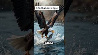 MUST SEE! 🦅 Unreal Power of the Sky — Eagle Eats Fish While Flying | Wildlife Shorts
