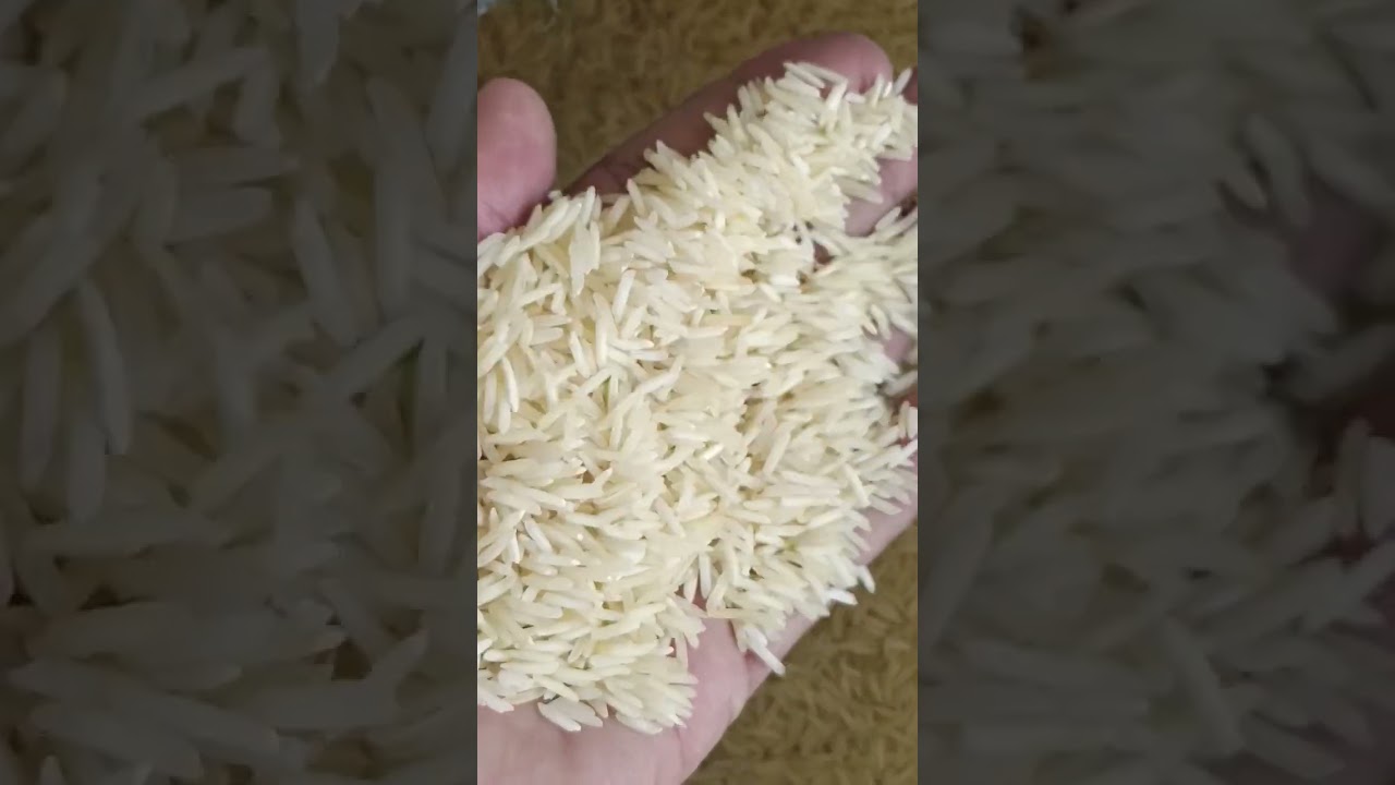 Steam Rice is Good for Health #healthcare #shorts