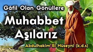 Gavs - I Bi̇lvani̇si̇ (K.s) I \