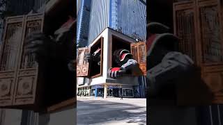 How Company Advitise Their Product In China