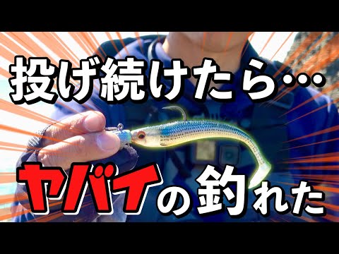 デカいワームを投げ続けたら、ヤバい大モン釣れた‼️