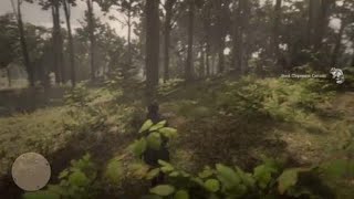 Red Dead Redemption 2 - RDR2 - WESTERN CHIPMUNK - LOCATION - ZOOLOGIST 28 - VERY GOOD SPOT