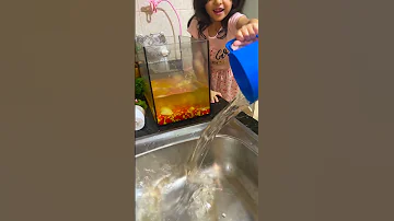 بيسو بدا تدلل سمكاتها النتيجة 