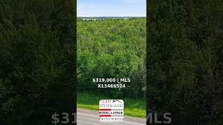 14.55 Acres in East Hawkesbury! 🌲 | 0 County Rd 17 — $319,000