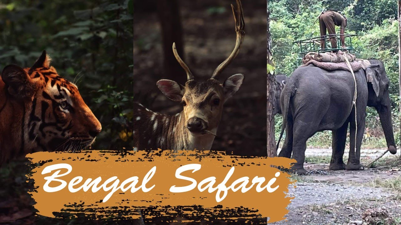 📍Bengal Safari, Siliguri | EI Buddhist Monastery 