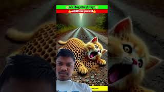 Katra Video