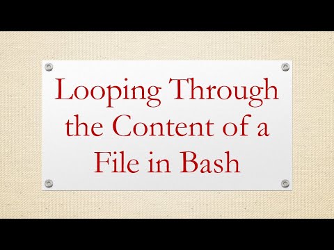 Looping Through the Content of a File in Bash