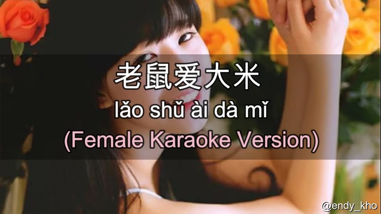 Lao shu Ai Da Mi( 老鼠愛大米) ] 伴奏 KTV Karaoke Female key pinyin lyrics