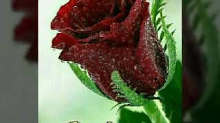 Dil Chori Sada Ho Gaya DJ Jagat Raj and Amit Kumar