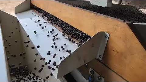 Palm kernel and shell separator