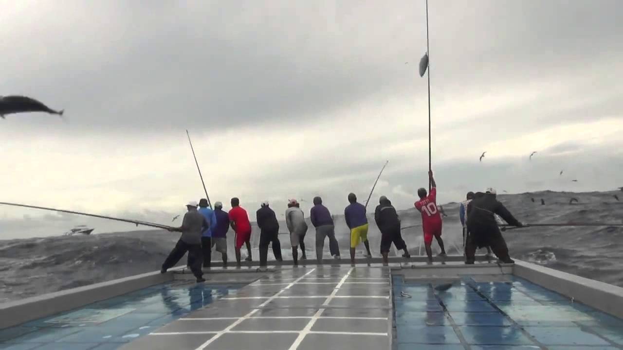 Pole&Line Fishing YouTube