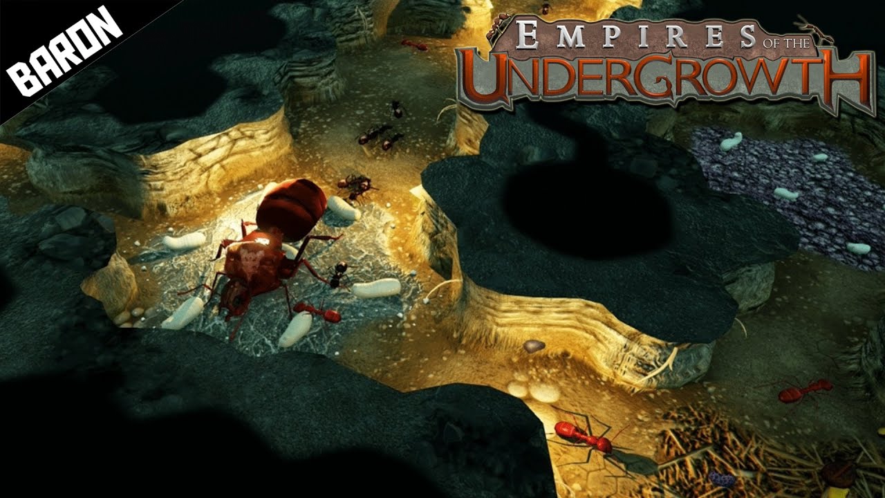 empires of the undergrowth stage 3