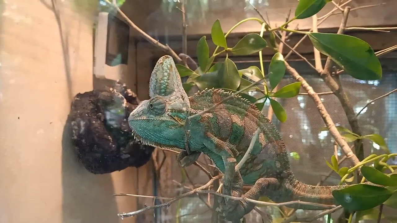 Jalan Jalan Seru Wisata Anak di Jogja Kebun Binatang Gembira Loka