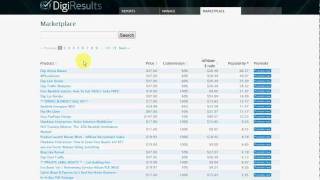 DigiResults Review screenshot 1