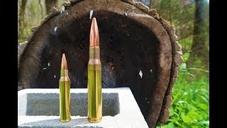 338 Lapua Magnum Vs 50 Bmg - Splitting Logs