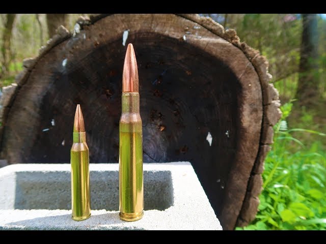 BOSSOLI PETERSON 338 LAPUA MAG. (50 Pz) – Accuracy Reloading - Foto 6