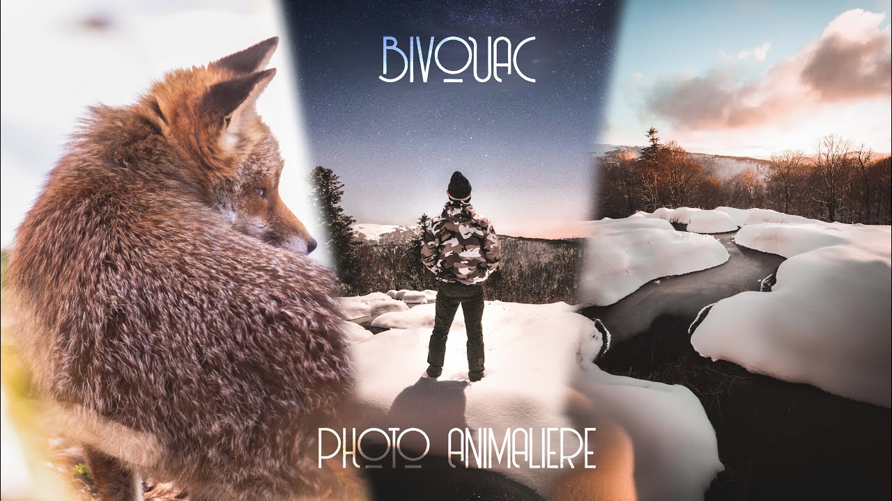 BIVOUAC HIVERNAL & PHOTO ANIMALIÈRE - Les Terres Vosgiennes