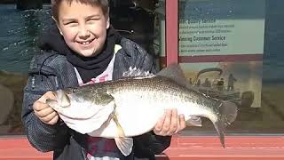 Big bass pre spawn shaky head Bass pro fishing Broken arrow oklahoma near Tulsa