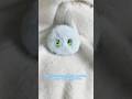Quiet Moments Need Nice Company#ai #gift #linkiki #cute #relax