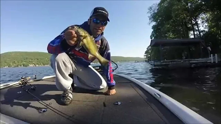 Episode 6: Big Smallmouth Bass June 2015