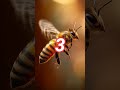 3 facts in 1 minute tamil part 2.