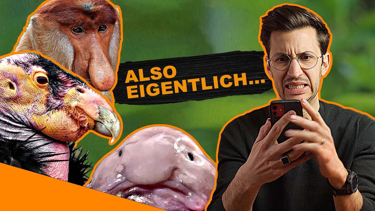 18 der größten und beeindruckendsten Hunderassen der Welt, image size:1280x720